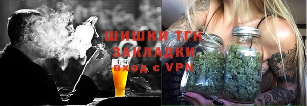 молекула духа Арсеньев