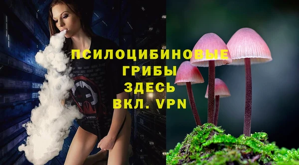 а пвп мука Алзамай