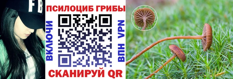 KRAKEN ССЫЛКА Завитинск дарк нет состав Галлюциногенные грибы ЛСД